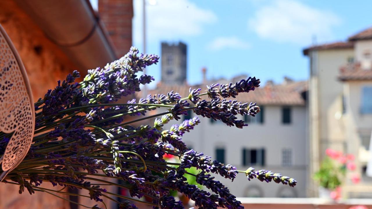 L'Iris B&B In Terrazza Lucca Exterior foto